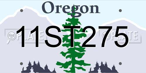 11ST275 Oregon License Plate