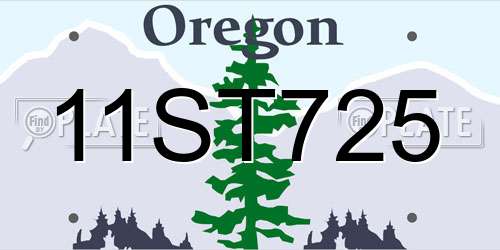 11ST725 Oregon License Plate