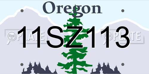 11SZ113 Oregon License Plate