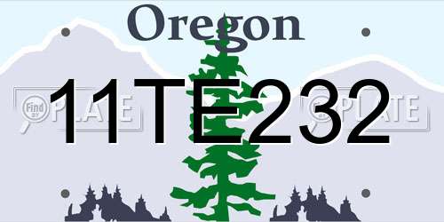 11TE232 Oregon License Plate