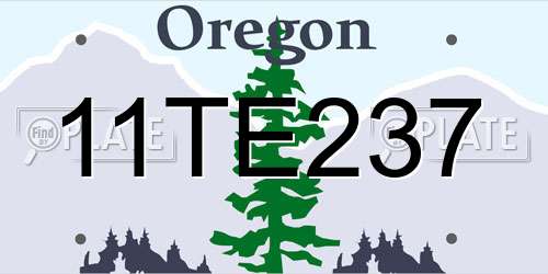 11TE237 Oregon License Plate