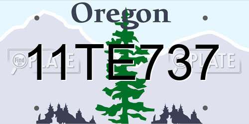 11TE737 Oregon License Plate
