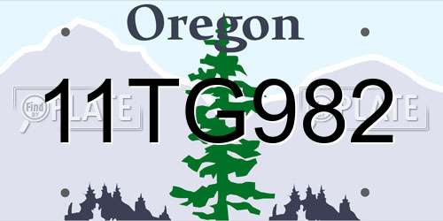 11TG982 Oregon License Plate