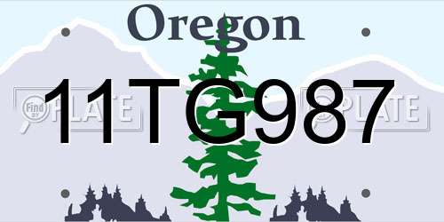 11TG987 Oregon License Plate