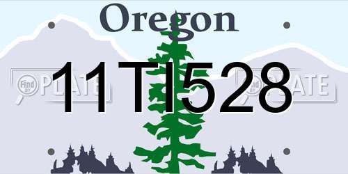 11TI528 Oregon License Plate