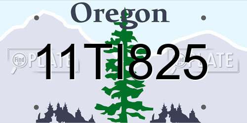 11TI825 Oregon License Plate