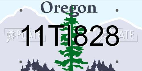 11TI828 Oregon License Plate