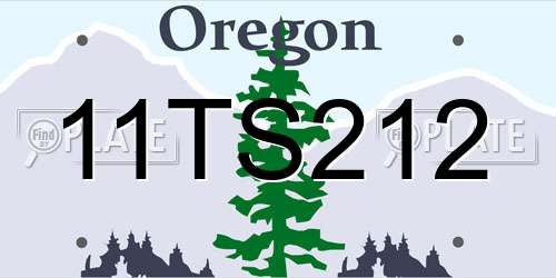 11TS212 Oregon License Plate