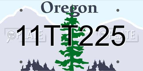 11TT225 Oregon License Plate
