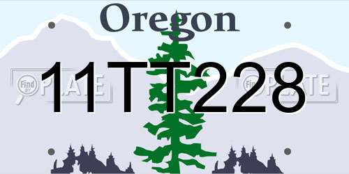 11TT228 Oregon License Plate