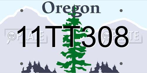 11TT308 Oregon License Plate