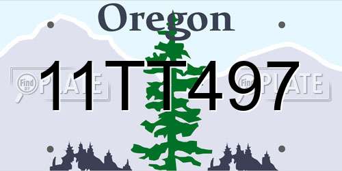 11TT497 Oregon License Plate