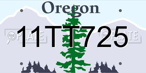 11TT725 Oregon License Plate