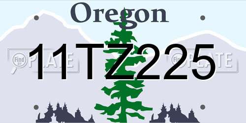 11TZ225 Oregon License Plate