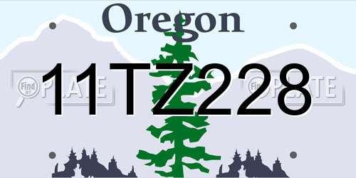 11TZ228 Oregon License Plate