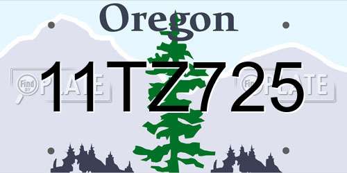 11TZ725 Oregon License Plate