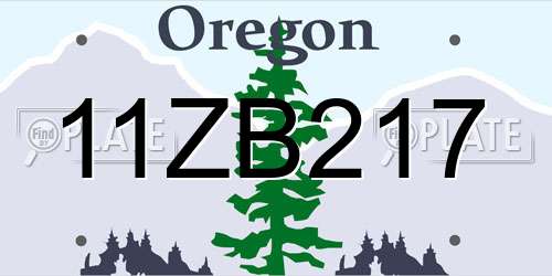11ZB217 Oregon License Plate