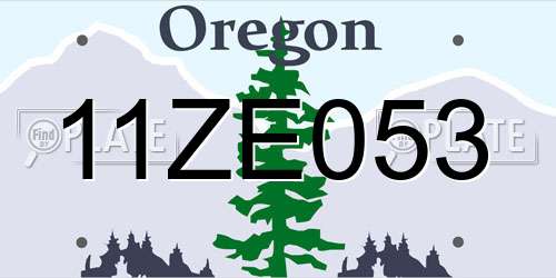 11ZE053 Oregon License Plate