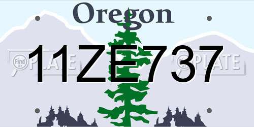 11ZE737 Oregon License Plate