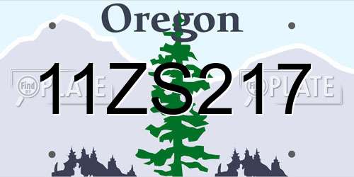 11ZS217 Oregon License Plate
