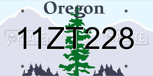 11ZT228 Oregon License Plate