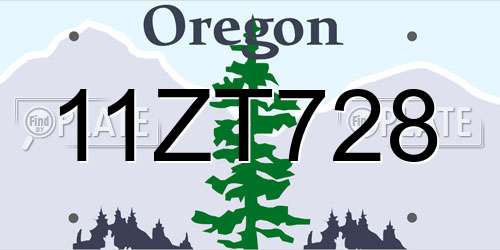 11ZT728 Oregon License Plate