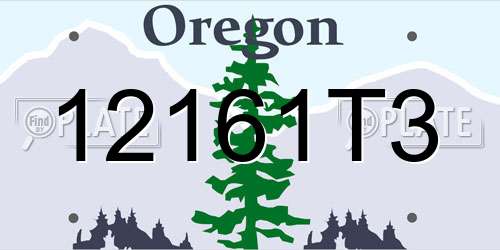12161T3 Oregon License Plate