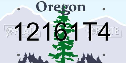 12161T4 Oregon License Plate