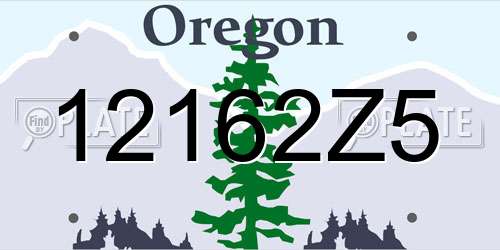 12162Z5 Oregon License Plate
