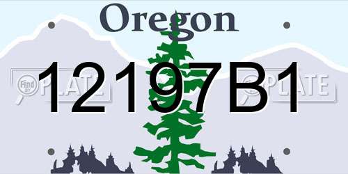 12197B1 Oregon License Plate
