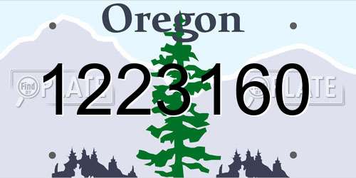 1223160 Oregon License Plate