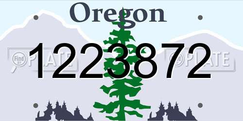 1223872 Oregon License Plate