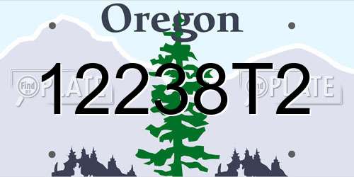 12238T2 Oregon License Plate