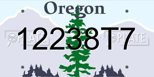 12238T7 Oregon License Plate