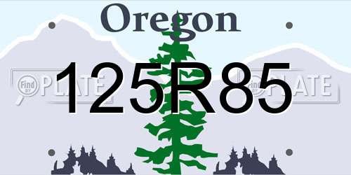 125R85 Oregon License Plate