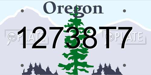 12738T7 Oregon License Plate