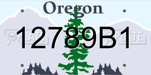 12789B1 Oregon License Plate
