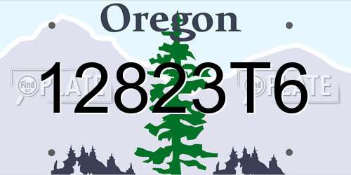 12823T6 Oregon License Plate