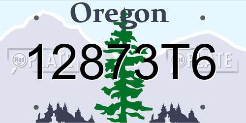 12873T6 Oregon License Plate
