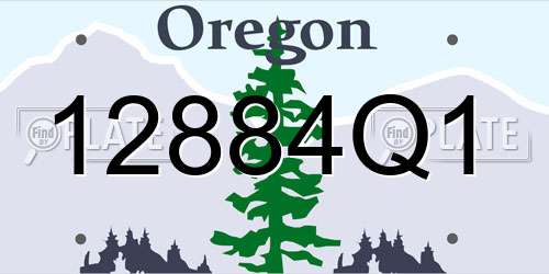 12884Q1 Oregon License Plate