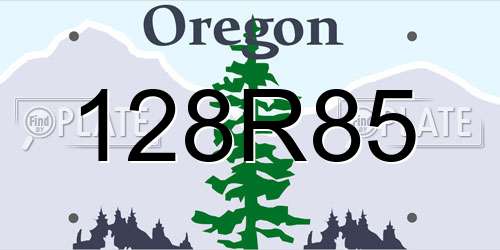 128R85 Oregon License Plate