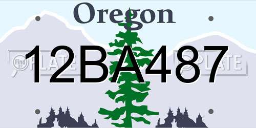 12BA487 Oregon License Plate