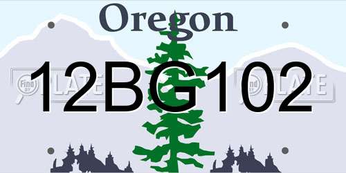 12BG102 Oregon License Plate