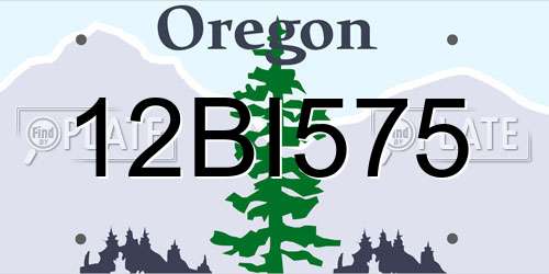 12BI575 Oregon License Plate