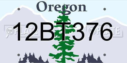 12BT376 Oregon License Plate