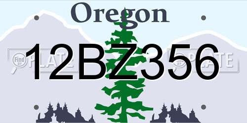 12BZ356 Oregon License Plate