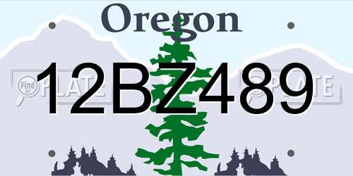 12BZ489 Oregon License Plate