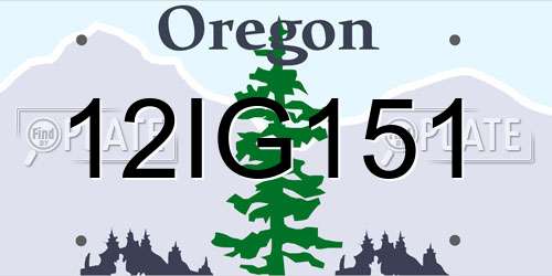 12IG151 Oregon License Plate