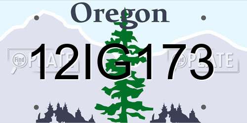 12IG173 Oregon License Plate