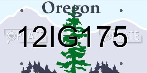 12IG175 Oregon License Plate
